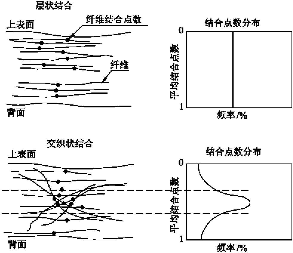 二、層疊和交織的紙張結(jié)構(gòu)